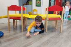 img-20240202-wa0005