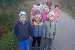 IMG_20191024_084248