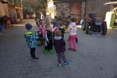 IMG_20191024_095658