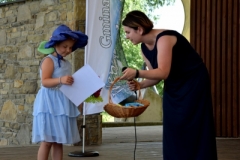 dsc-0494-400x300-sc