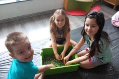 fb_img_1680725012621