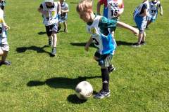 fb_img_1654369917294