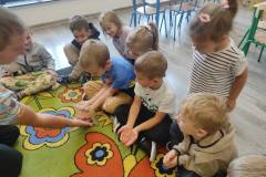 558867407_1403479661755856_3541759657670427526_n