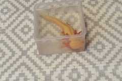 b8c5f12f-8790-4b4c-9b89-44879c742d6f