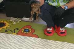 e5e5abd8-0840-4f4e-86e8-38eb94c14668-1