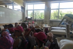 513659763_1312700514167105_6445585622786254698_n